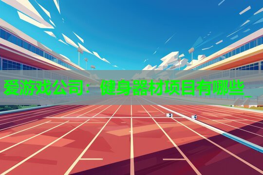 爱游戏公司：健身器材项目有哪些_