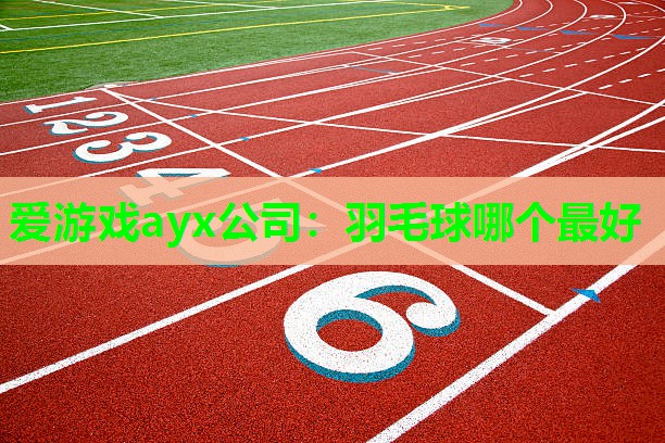 爱游戏ayx公司：羽毛球哪个最好