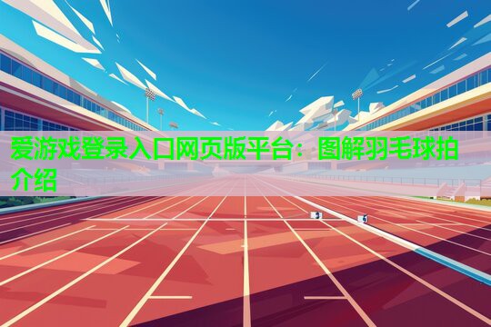 爱游戏登录入口网页版平台：图解羽毛球拍介绍